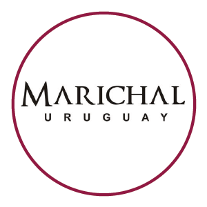 logo-marichal